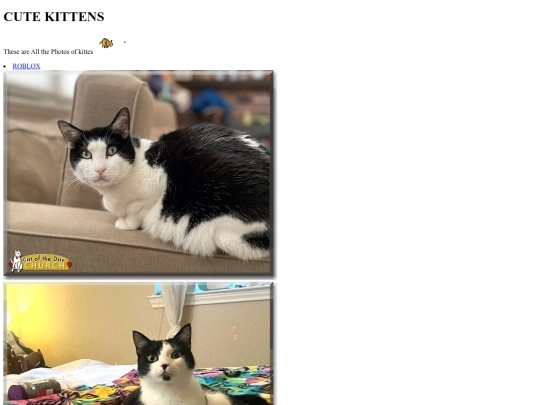 cutecats screenshot