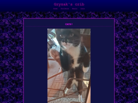cats screenshot