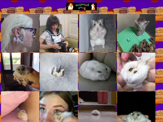hamster screenshot