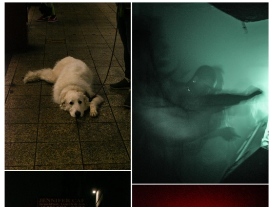 iframes/cameraA2 screenshot