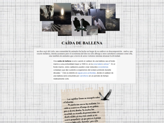 caidadeballena screenshot
