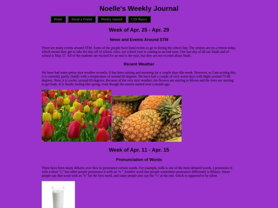 journal screenshot