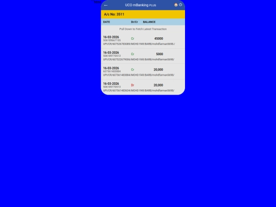 uco bank/mini-statement screenshot