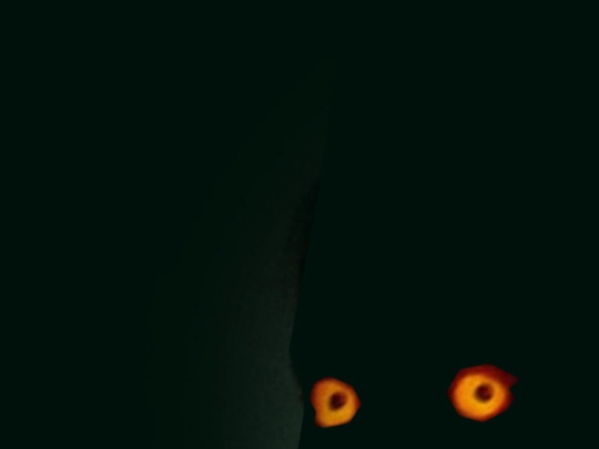 NewTest screenshot