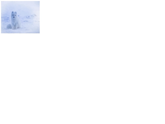 Imagen/Fotos screenshot