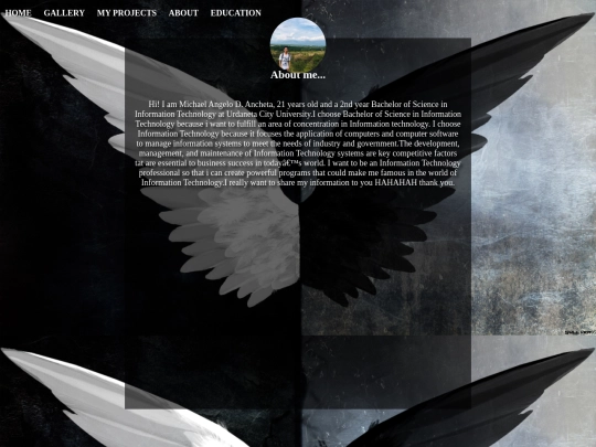 angeloinfo screenshot