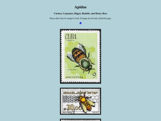 Apidae screenshot