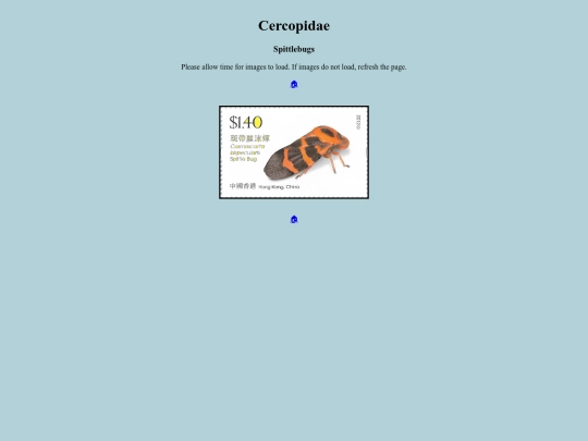 Cercopidae screenshot