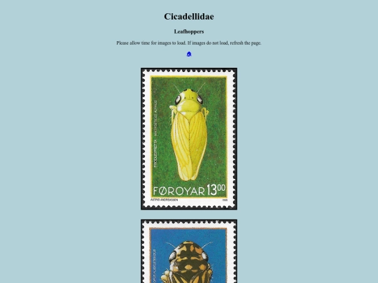 Cicadellidae screenshot