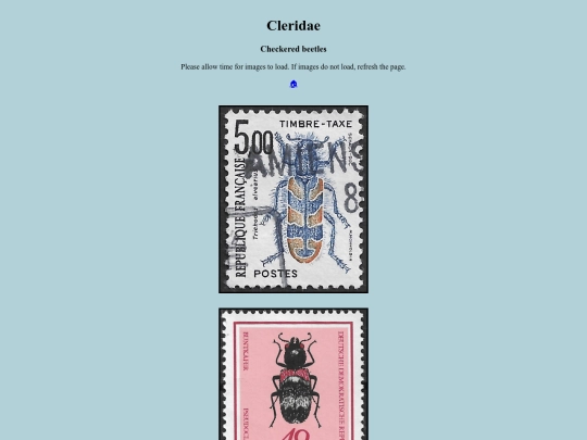 Cleridae screenshot