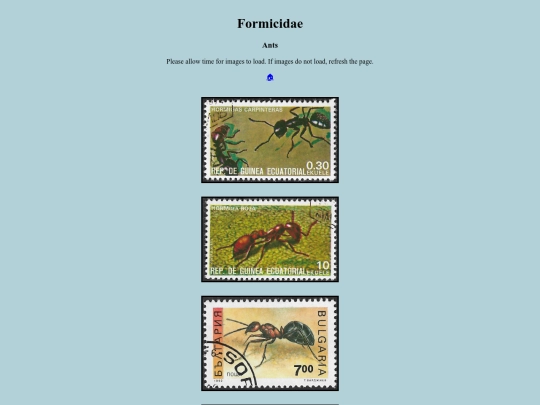 Formicidae screenshot