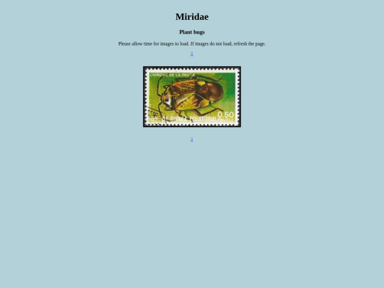 Miridae screenshot