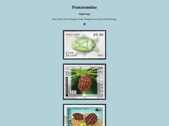 Pentatomidae screenshot