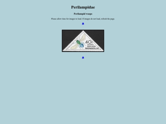 Perilampidae screenshot