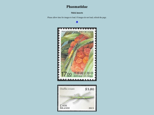 Phasmatidae screenshot