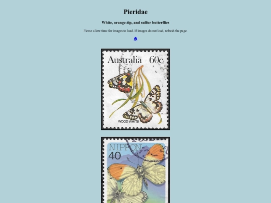 Pieridae screenshot