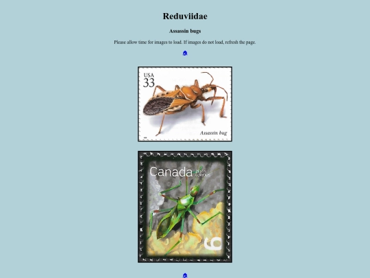 Reduviidae screenshot