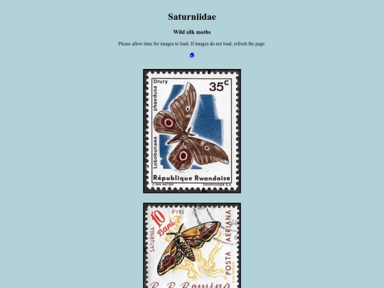 Saturniidae screenshot