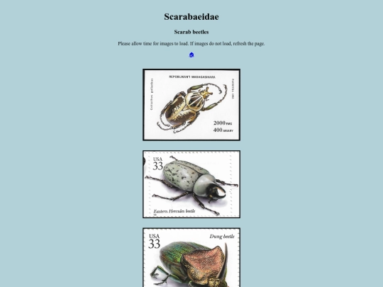 Scarabaeidae screenshot