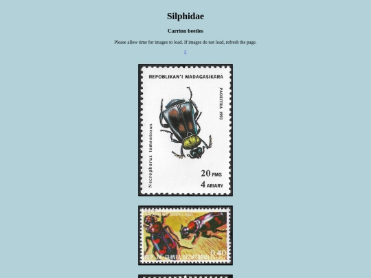 Silphidae screenshot