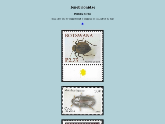 Tenebrionidae screenshot