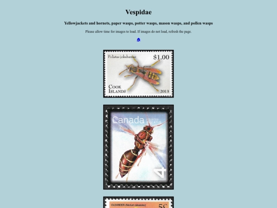 Vespidae screenshot