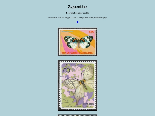Zygaenidae screenshot