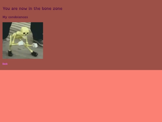 thebonezone screenshot