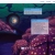 Saufler Portfolio 2026 - Home avatar