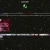 linastuff.neocities.org avatar