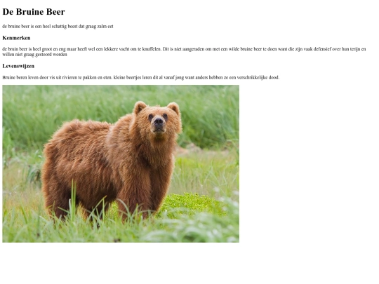 BruineBeer screenshot
