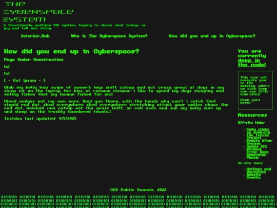 why_cyberspace screenshot