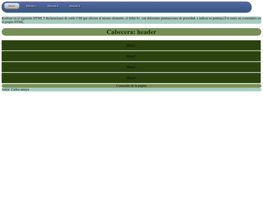 New_pagina/Declaracion_estilos screenshot