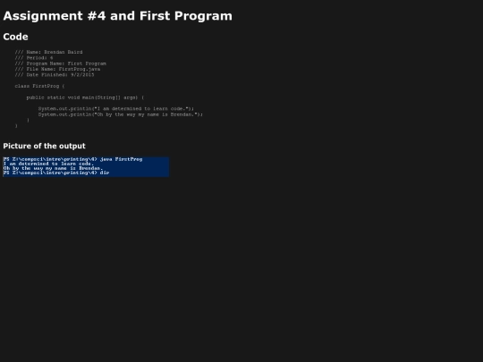intro/printing/4/prog4 screenshot