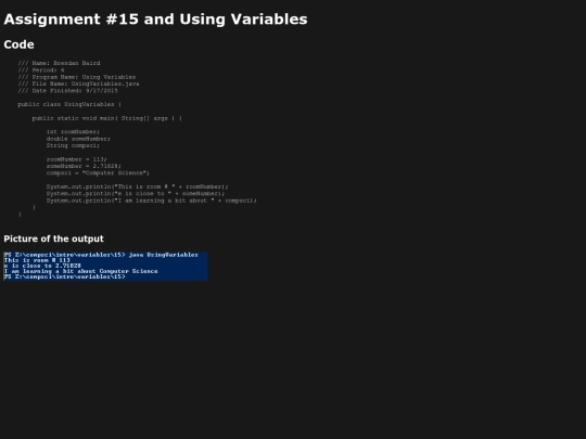 intro/variables/15/prog15 screenshot