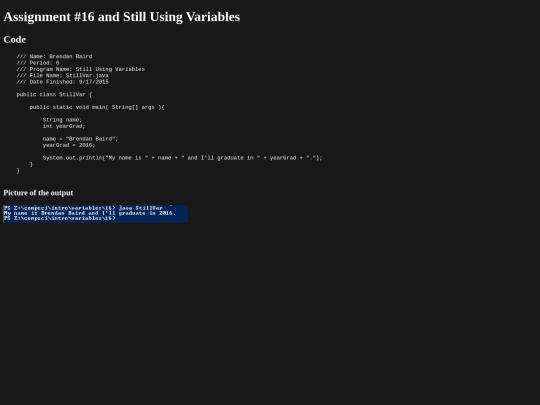intro/variables/16/prog16 screenshot