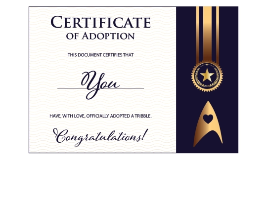 certificate screenshot