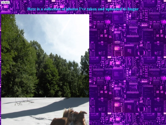 photography screenshot