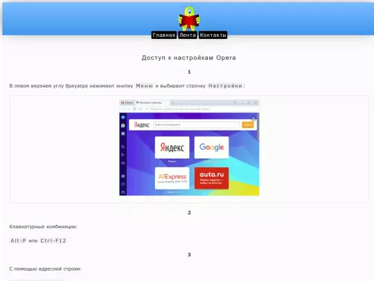 internet/browse/opera/spravka/settings screenshot