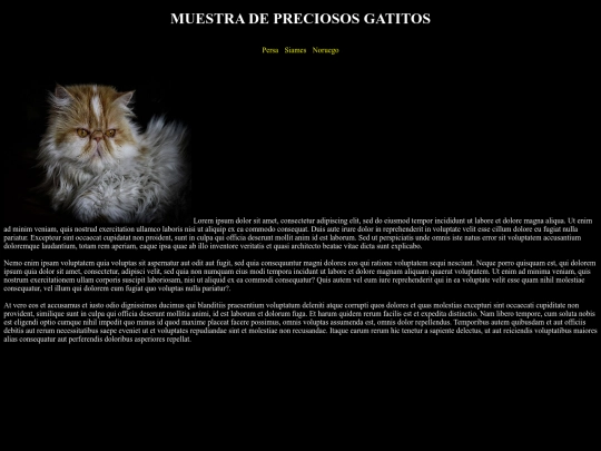 Examen 09 screenshot
