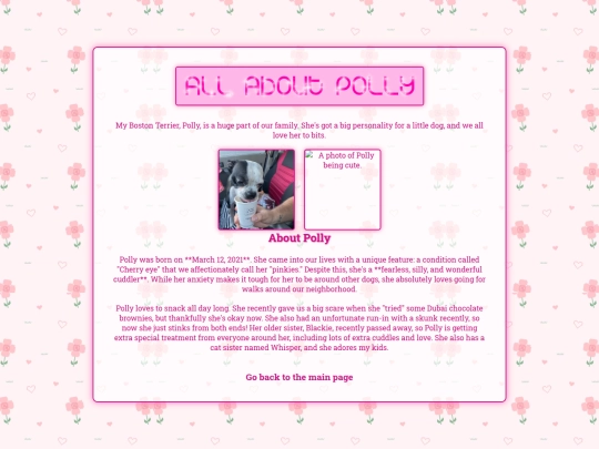 polly screenshot