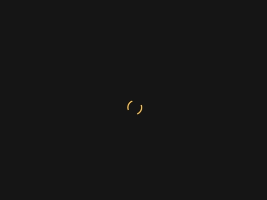 portfolio-details screenshot