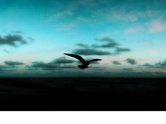 art/sky-fragment-04 screenshot