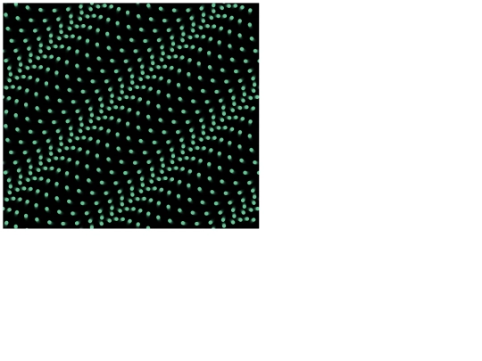 nature/sea-pigment-07 screenshot