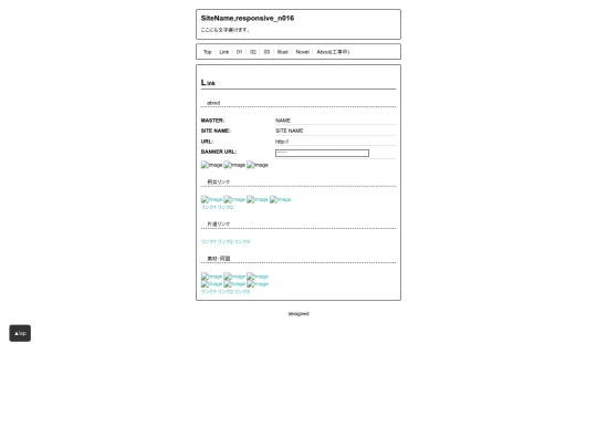 N016/link screenshot