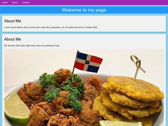 W3css minipro/w3 screenshot