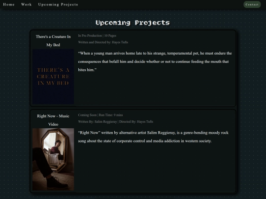 pages/projects screenshot