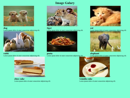 img gal/img screenshot