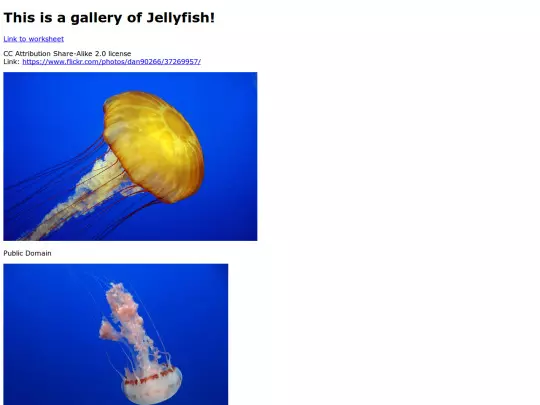 Gallery/Gallery screenshot