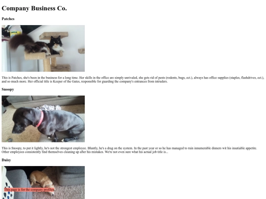 Unit-4/Staff-page/Staff-page screenshot